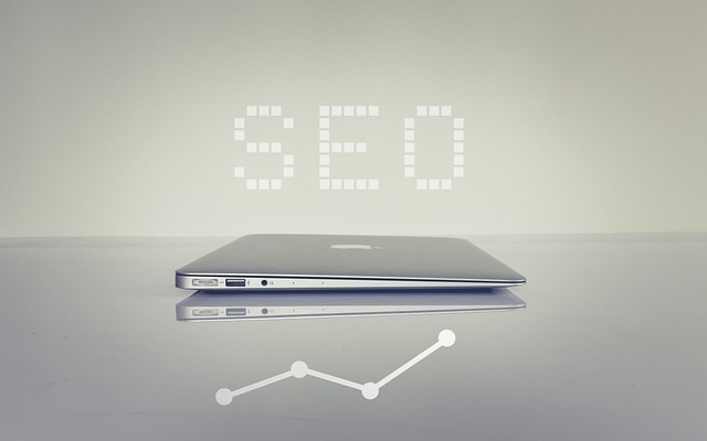 Seo Nedir? Seo Nedir?